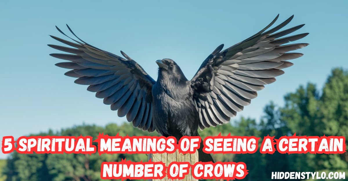 5 Spiritual Meanings of Seeing a Certain Number of Crows (1)