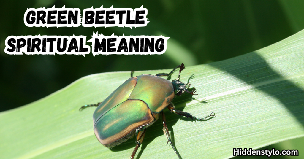 green beetle spiritual meaning