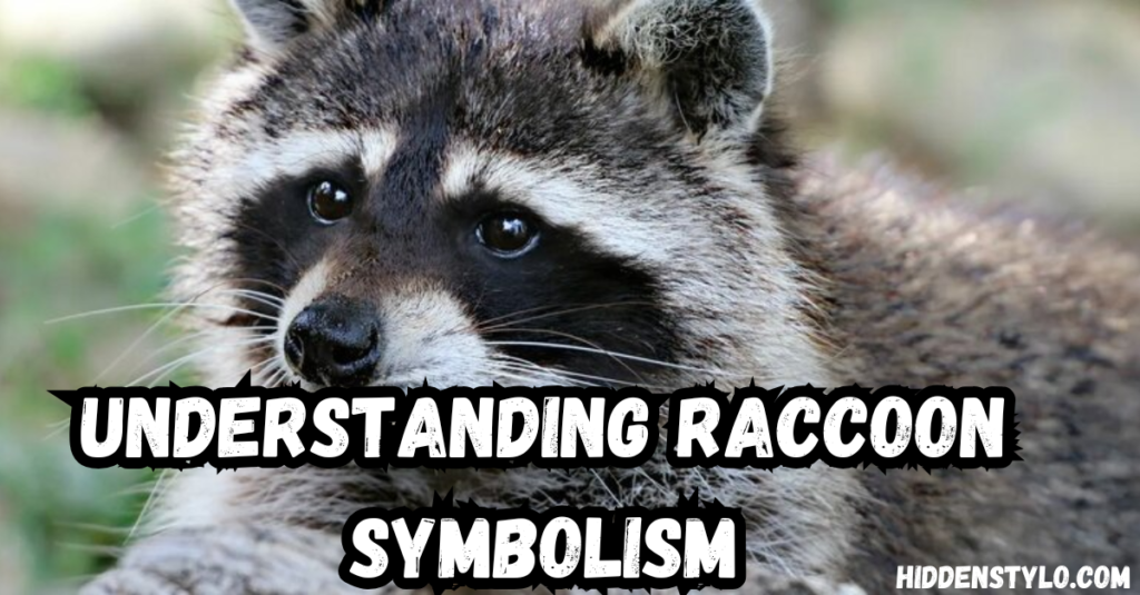 Understanding Raccoon Symbolism