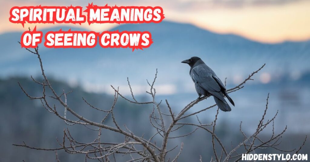 Spiritual Meanings of Seeing Crows