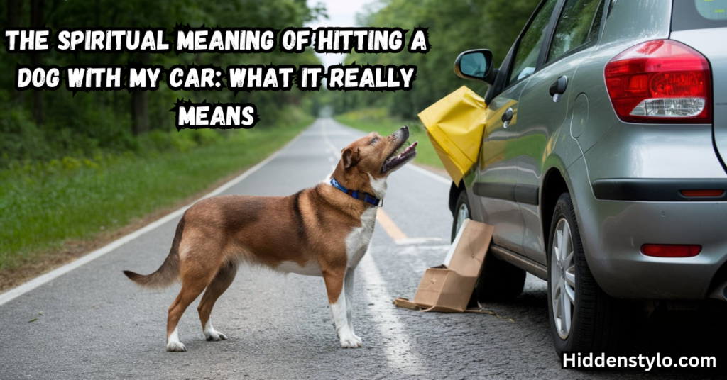 The Spiritual Meaning of Hitting a Dog with My Car: What It Really Means