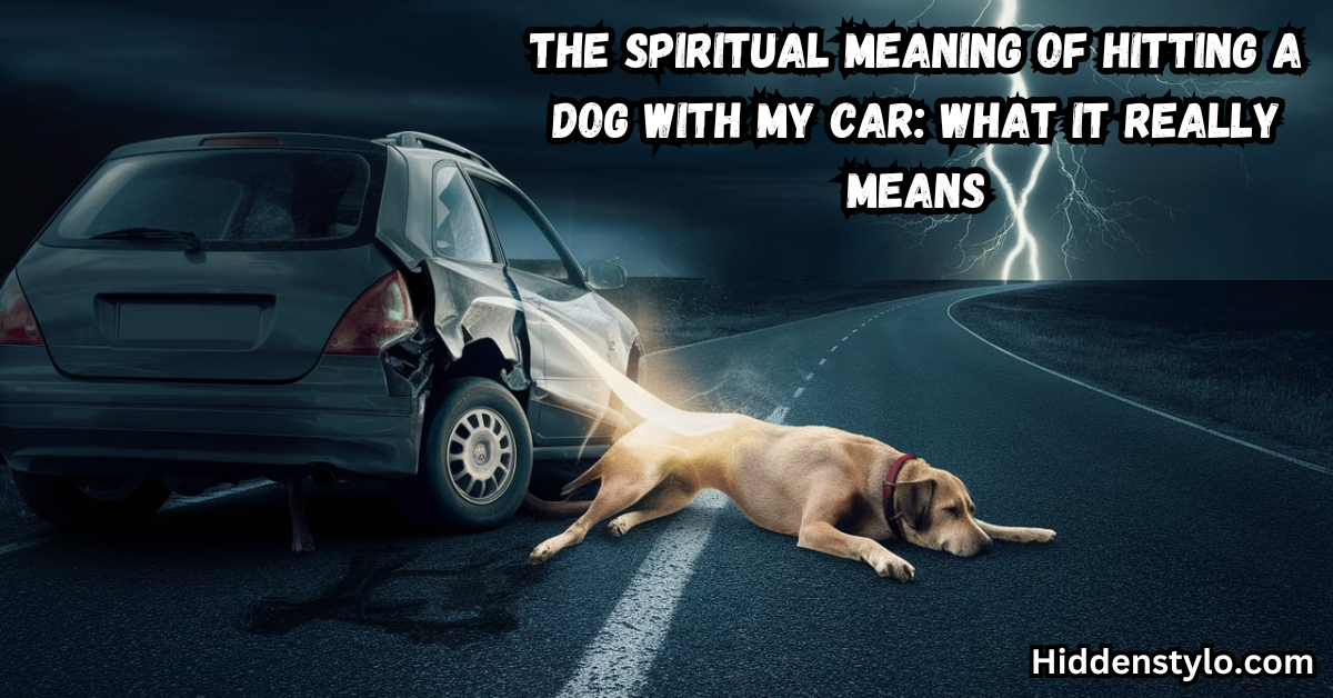 The Spiritual Meaning of Hitting a Dog with My Car What It Really Means