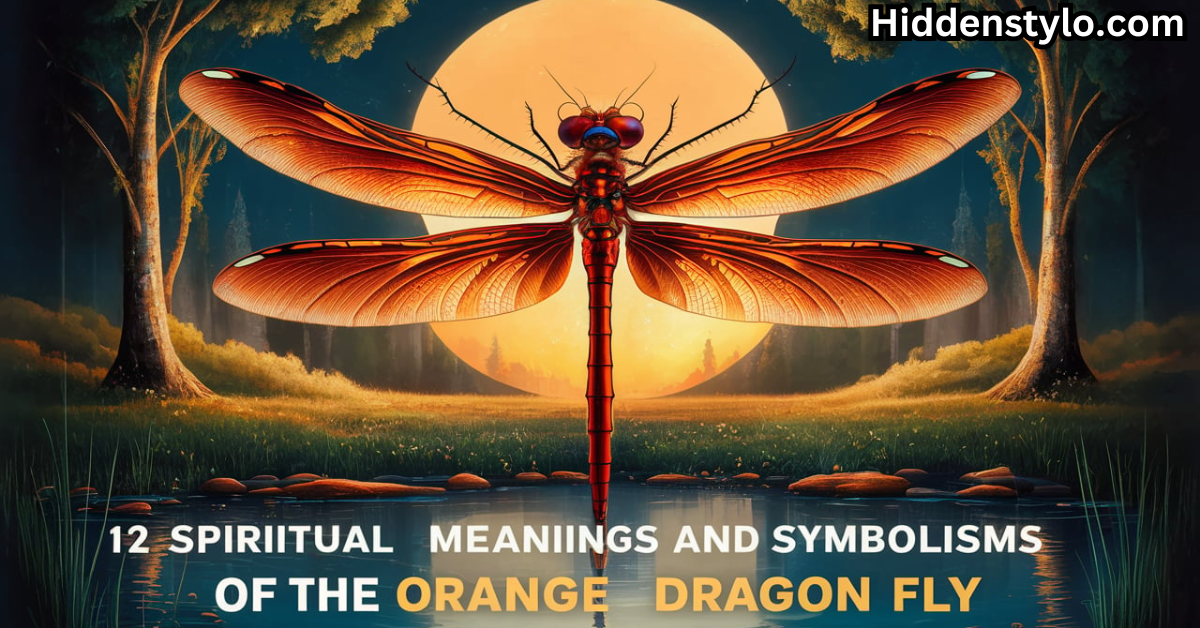 12 Spiritual Meanings and Symbolisms of the Orange Dragonfly