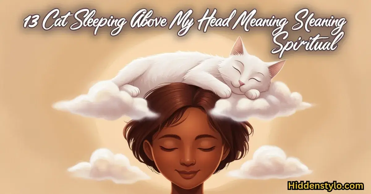 13-cat-sleeping-above-my-head-meaning-spiritual