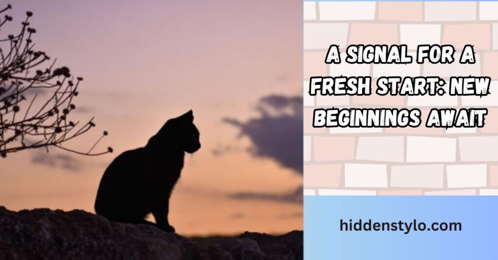 A Signal for a Fresh Start New Beginnings Await