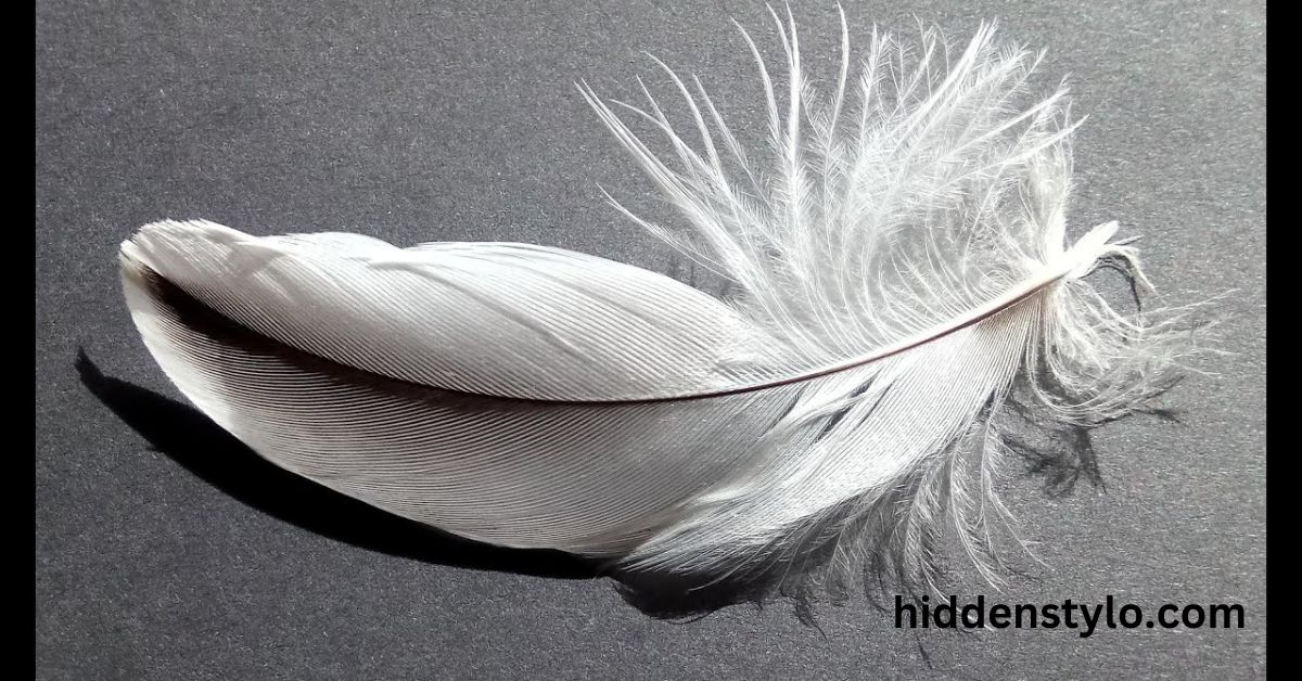 Grey and White Feather Spiritual Meaning