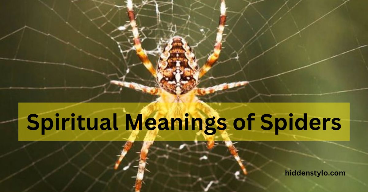 Spiritual Meanings of Spiders