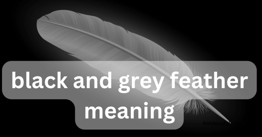 black and grey feather meaning