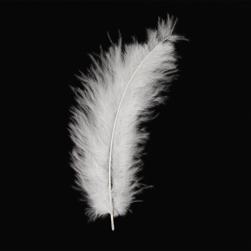 white and grey feather meaning spiritual

