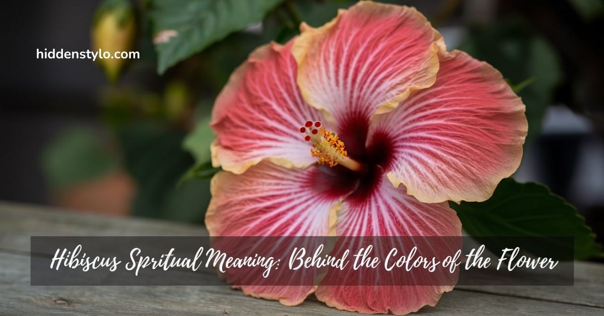 Hibiscus Spiritual Meaning