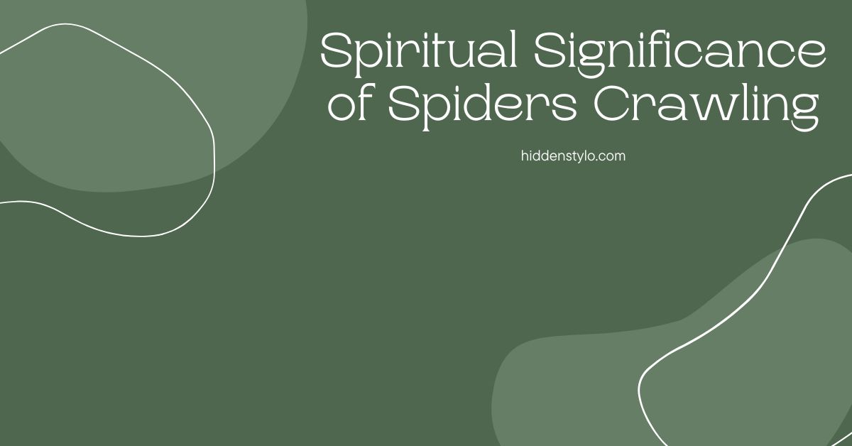 Spiritual Significance of Spiders Crawling