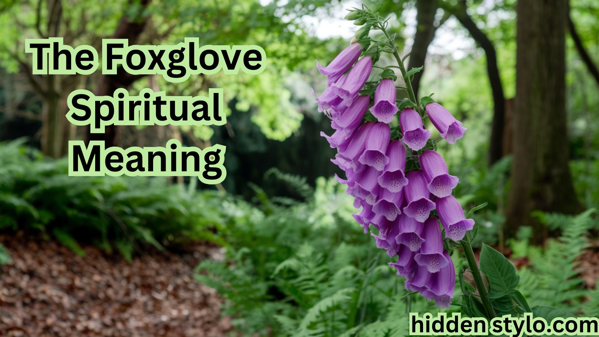 The Foxglove Spiritual Meaning