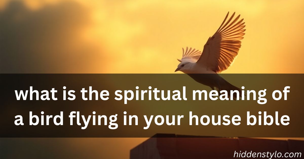 what is the spiritual meaning of a bird flying in your house bible