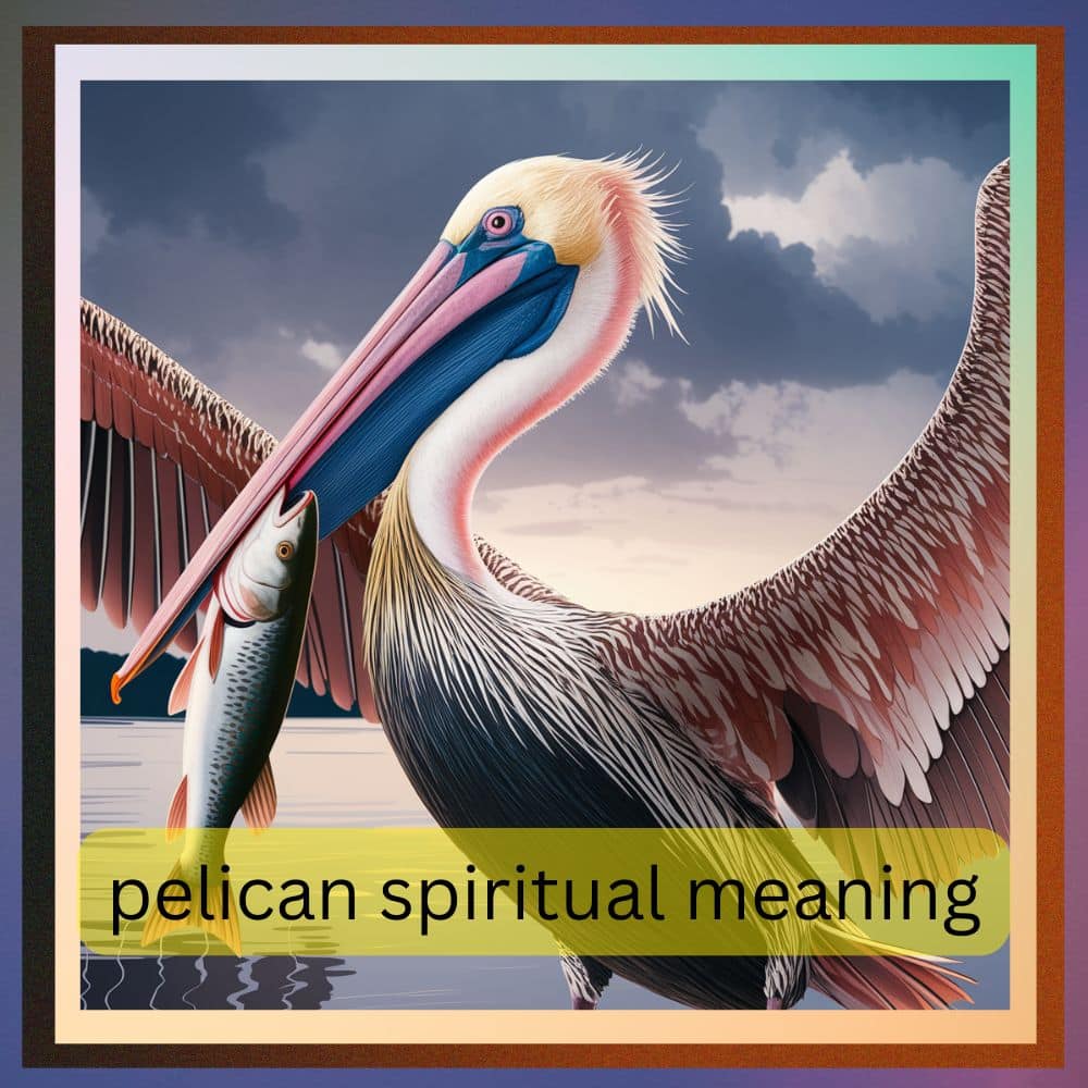 pelican spiritual meaning